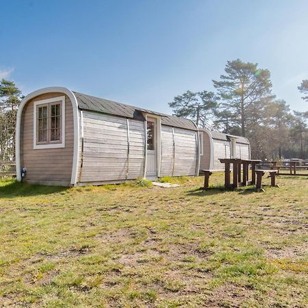 Naturcamping Lueneburger Heide - Chalets & Tiny Haeuser Soltau Exteriör bild