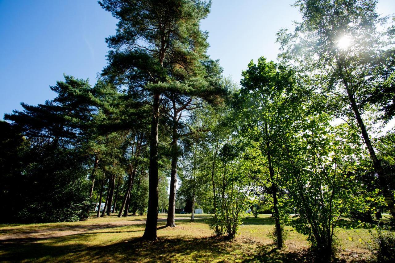 Naturcamping Lueneburger Heide - Chalets & Tiny Haeuser Soltau Exteriör bild