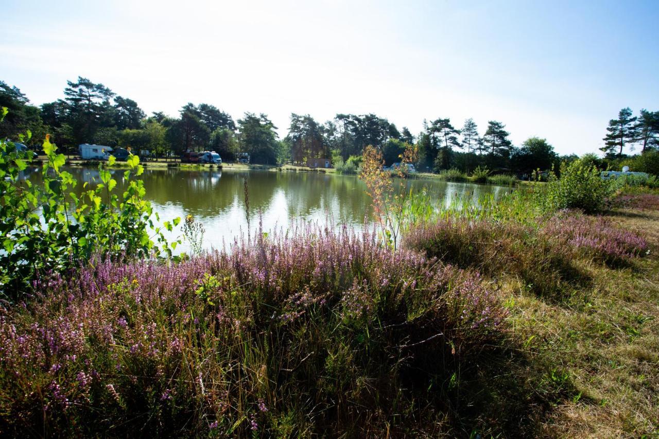 Naturcamping Lueneburger Heide - Chalets & Tiny Haeuser Soltau Exteriör bild
