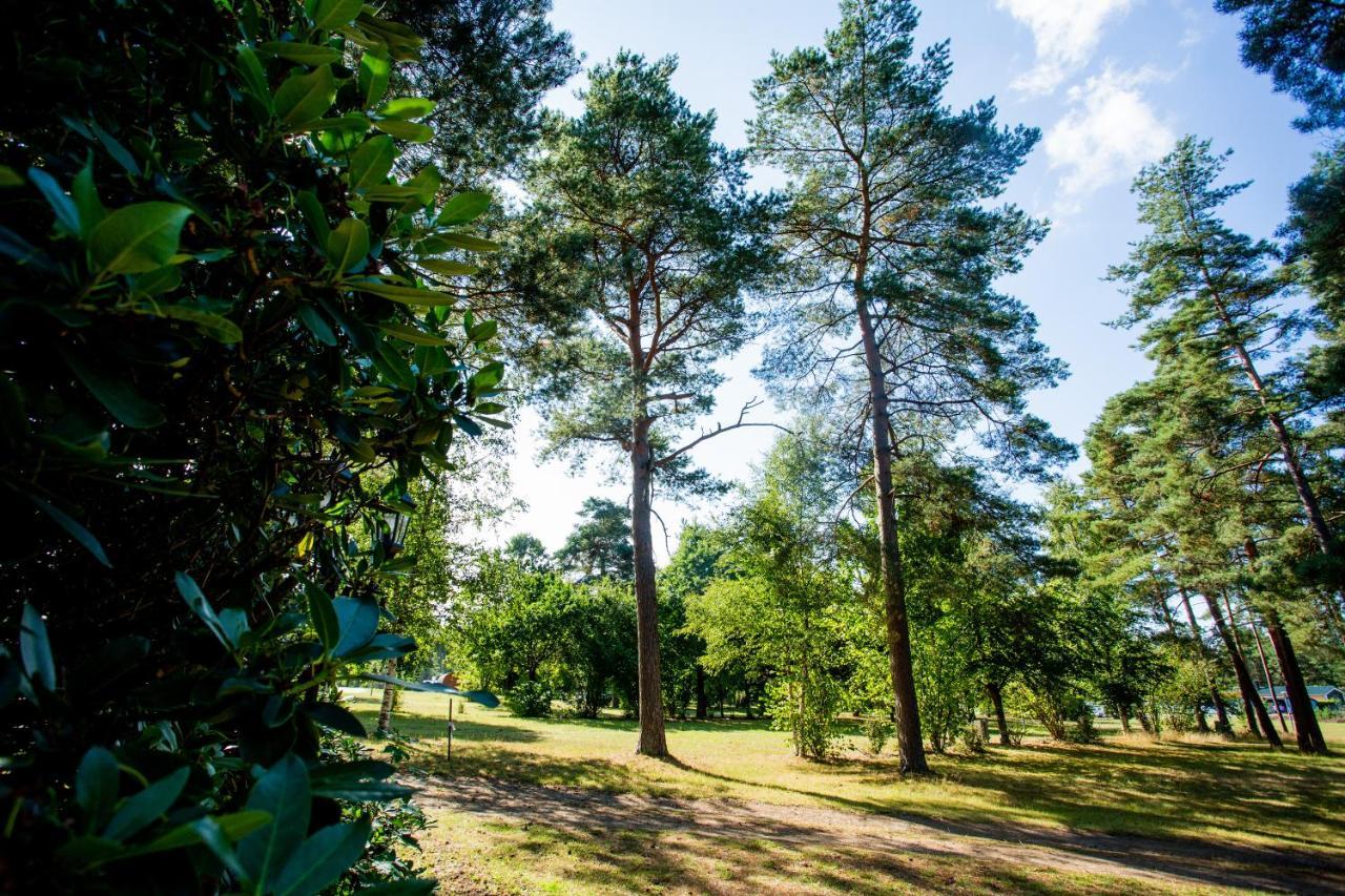 Naturcamping Lueneburger Heide - Chalets & Tiny Haeuser Soltau Exteriör bild